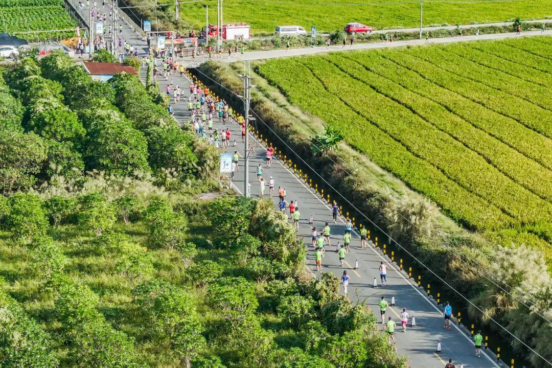 报名开始！跑高明稻马，承包你一整年的牛肉